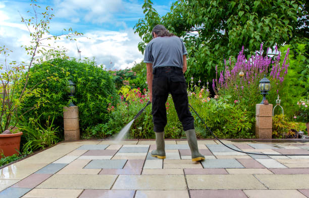 Best Sidewalk and Walkway Cleaning  in Templeton, CA