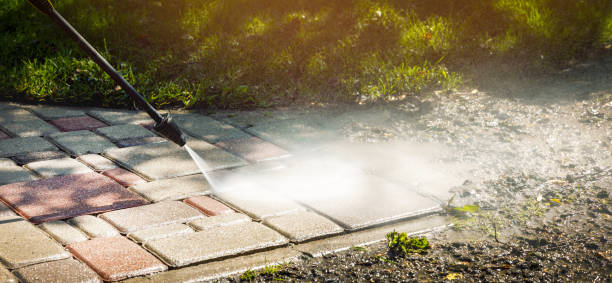 Best Animal Enclosure Cleaning  in Templeton, CA