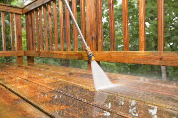 Best Dumpster Area Cleaning  in Templeton, CA